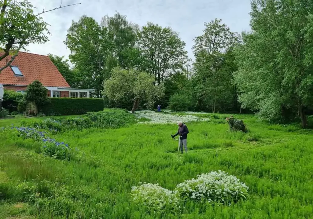 Ådalen Foråret 2023 - bevoksning ryddes med buskrydder